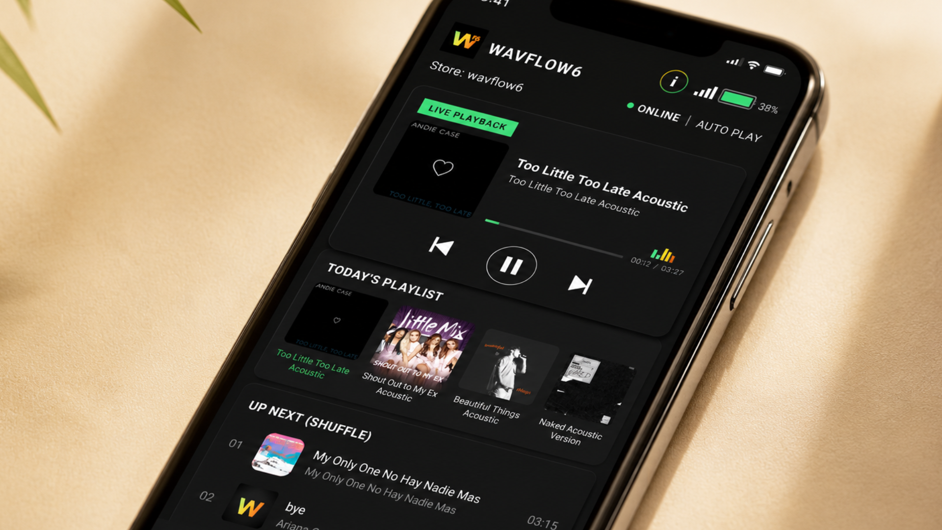 WAVFlow6 mobile app showing live playback and today's playlist
